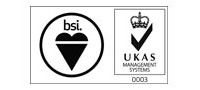 logo_bsi11 (1) logo_bsi11 (1)